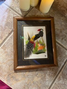 Framed Colorful Bird Feather Art